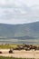View from the bottom of the Ngorogoro crater. Tanzania, Africa