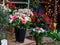 View of a bouquet of scarlet roses in a street flower shop in Paris