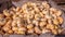 View on a box full of little white pumpkins with orange stripes