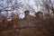 View between the branches of the castle of fenis val d`aosta italia in autumn