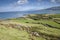 View from Brandon Point, Dingle Peninsula