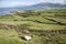 View from Brandon Point, Dingle Peninsula