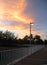 View of a breathtaking and fiery sunrise from the Nightcliff jetty. Darwin. NT Australia        f