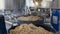 View of brewed malts being expelled from separation tank inside craft beer brewery