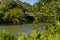 A view of a bridge across the Mahaweli river at Kandy, Sri Lanka, Asia