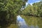 View from a bridge at Bloomfield River in the Daintree rainforest