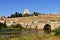 View of bridge and the Castle of Henry II of Castile 14th centu