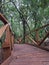 View of a bridge in the last northern forest in Chile