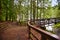 View of the bridge over Englishman River Falls in Vancouver Island, BC