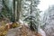 View on the bridge,scenic view of Narada falls on snow day in mt rainier