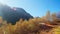 View of bright bushes orange in Dombai mountains and view of one side of mountain on shadow. Lens flare.