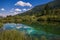View on bright green clear river summer in mountain forest in sunlight Zelenci Slovenia
