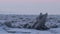 view of the broken ice floes on the Vistula river