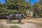 View of bronze statue Chimera in Pioneer Park near Market street, Fremantle