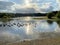 A view of Brown Moss Nature Reserve near Whitchurch