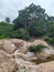 View of a brown wild dirty mountain river flowing through rocks