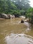 View of a brown wild dirty mountain river flowing through rocks