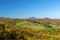 View of Buffalo Mountain