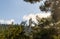 View of  the building  of the Haifa Technion standing on a wooded mountainside from the public Nesher Park suspension bridges in