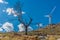 View of burned tree and broken, result of the fires, at the top of Caramulo mountains, with wind turbine as background