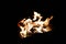 View of a burning fire on a black background. Danger