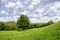 A View from Burrow Mump