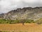 View of bushes and vegetation at the base of the El Torcal de antequera