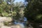 View of bushland along river in the public Lake Paramatta reserve