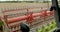 View from the cabin of the combine harvester.