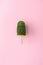 View of cactus plant on wooden stick On pink, ice cream concept
