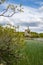 A view of Cahermacrea Castle from across the lake in front of the castle, this can be seen on the Dromore Reserve Wood Walk in