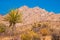 View Of California Mojave Desert Landscape