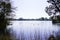 View of the calm water of hostens lake with the other shore on the horizon in southwest France