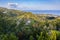 View of Caloura from Monte Santo viewpoint, Sao Miguel, Azores