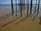 View of a Camboa, fishing device, by low tide at the Atlantic coast of the Brazilian Bahia Region