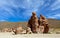 View on Camel rock formation in the Bolivean altiplano - Potosi Department, Bolivia