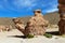 View on Camel rock formation in the Bolivean altiplano - Potosi Department, Bolivia