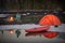 View of camp life in a mountain terrain. Lake shore with canoe