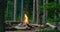 View of the campfire flame in a forest glade