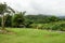 View on a campsite in rainforest near to river and mountains in cloudy weather. C