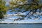 View of Canandaigua Lake in Canandaigua, New York