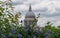 View from Cannon Bridge Roof Garden, London UK. Blue ceanothus flowers in foreground. Dome of St Paul`s in soft focus in distance.