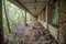 View of canopy and mess under windows in Pripyat abandoned school