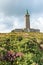 View of the Cap Frehel lighthouse and lilac heath meadows