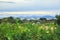 View of Cap Punta De N`Amer nature park in Cala Millor, Mallorca, Spain