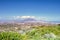 View of  Cape Town and Table Mountain with brightly coloured yellow flowers and bushes growing in foreground