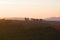 View of the Cappella della Madonna di Vitaleta in the early September morning. Tuscany, Italy