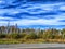 The view from the car window at the trunks of dead birches on the side of the road and the blue sky with white clouds