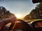 view from car windshield of natural landscape with road, green treeand and light, glare from sun at sunset in evening