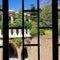 View from caretaker`s lodge barred window in Park GÃ¼ell, Barcelona, Spain - Image